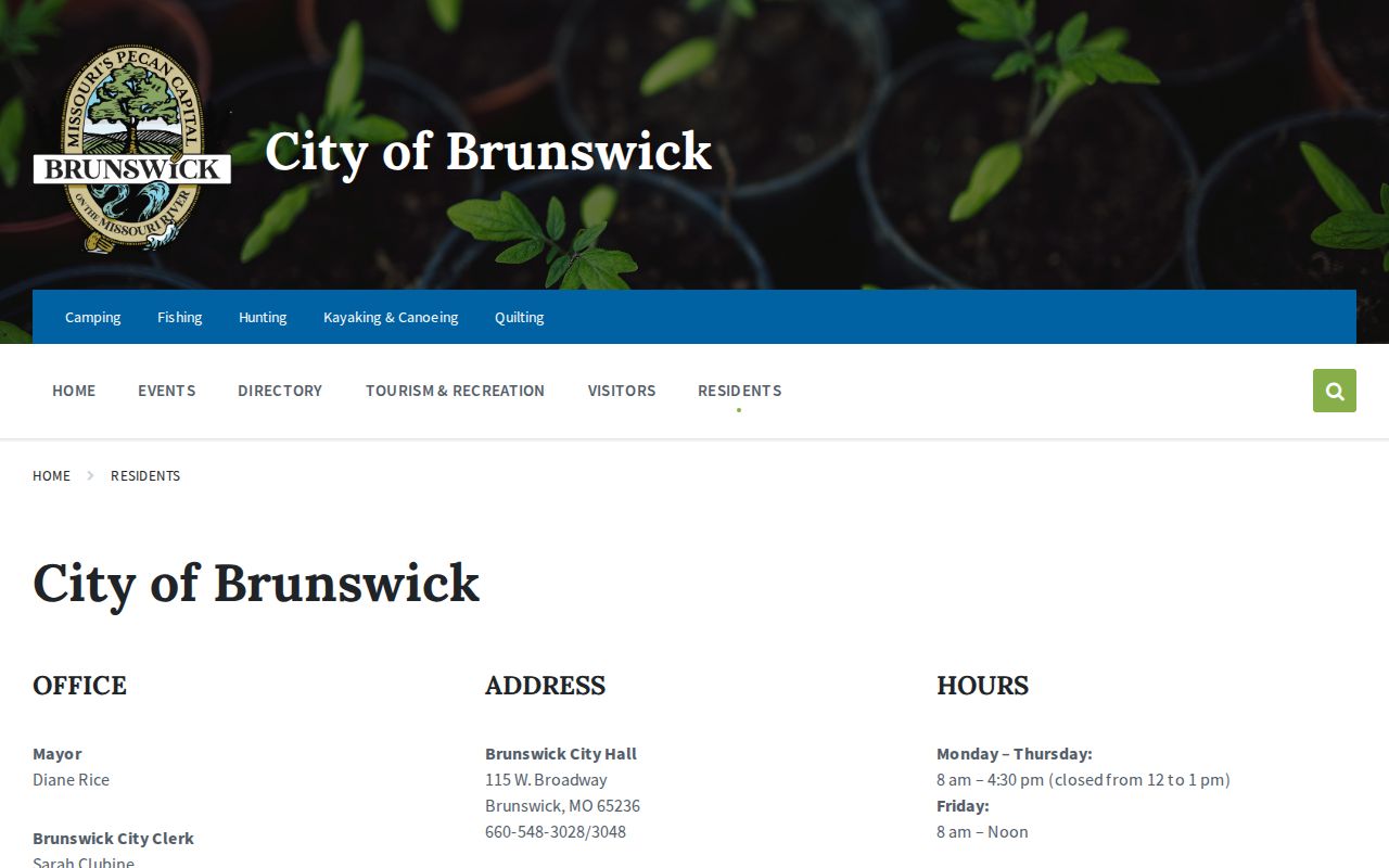 Brunswick City Hall official contact page